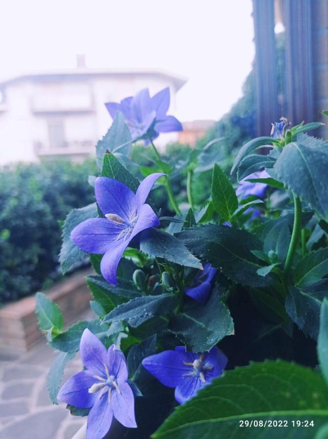 Bed and Breakfast La Casa Di Cristina Commino Esterno foto